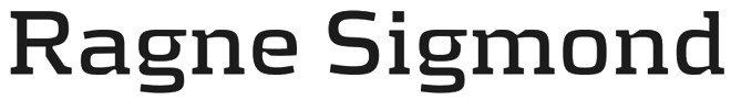 logotipo fotografo ragne sigmond